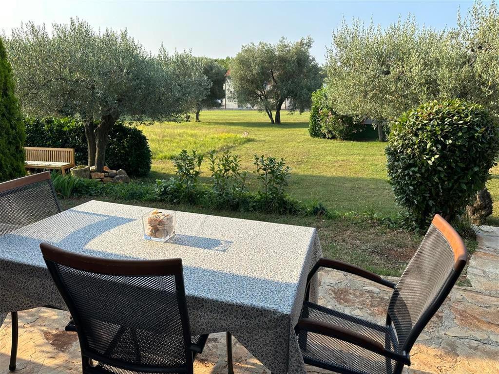 Apartment App Trinodis *