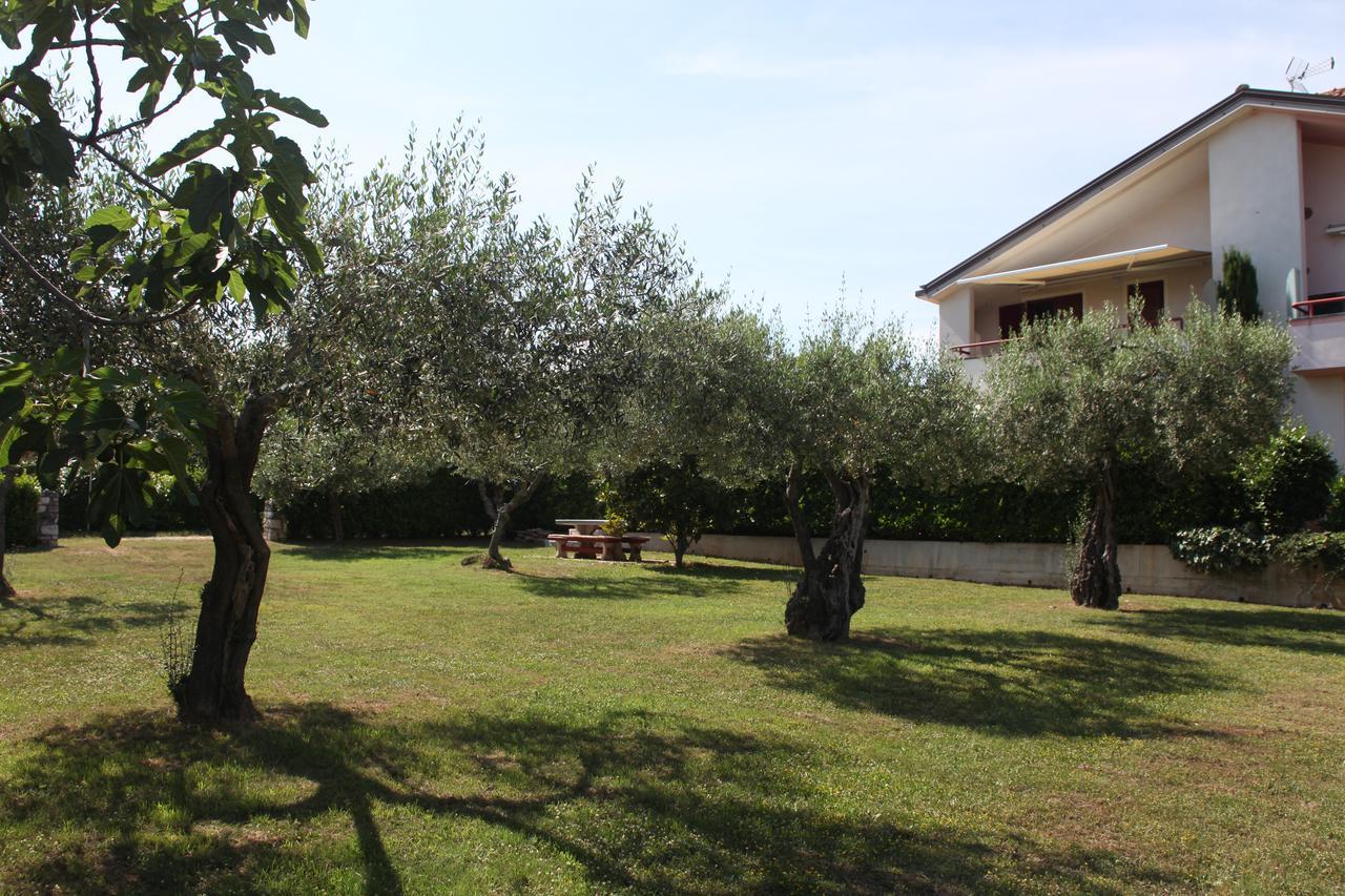App Trinodis Apartment